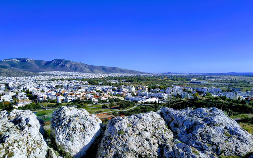 Άλιμος Αποφράξεις Λόφος Πανί ΑΠΟΦΡΑΞΕΙΣ ΑΛΙΜΟΣ ΛΟΦΟΣ ΠΑΝΙ